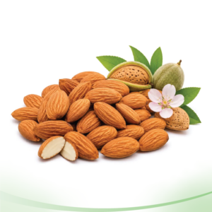 Almond Nuts কাঠ বাদাম