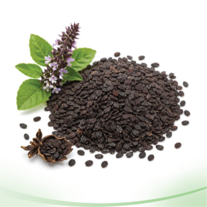 Basil seeds তোকমা দানা