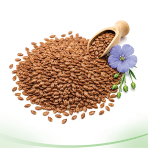Flax Seeds তিসি বীজ