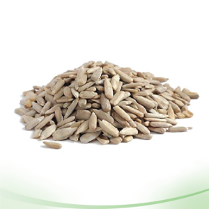 Sunflower Seeds সুর্যমুখী বীজ
