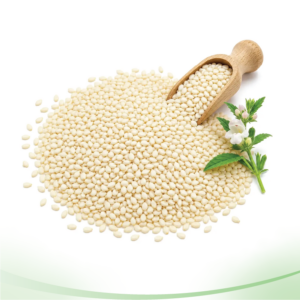 White Sesame সাদা তিল